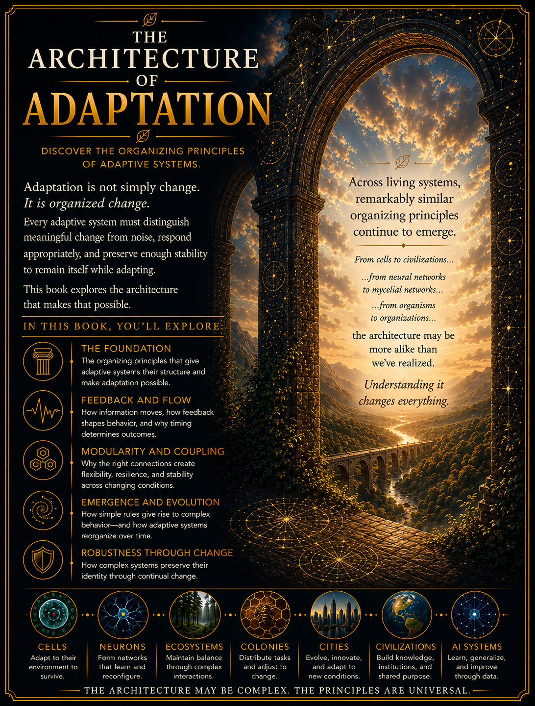 The Architecture of Adaptation — illustrated overview poster